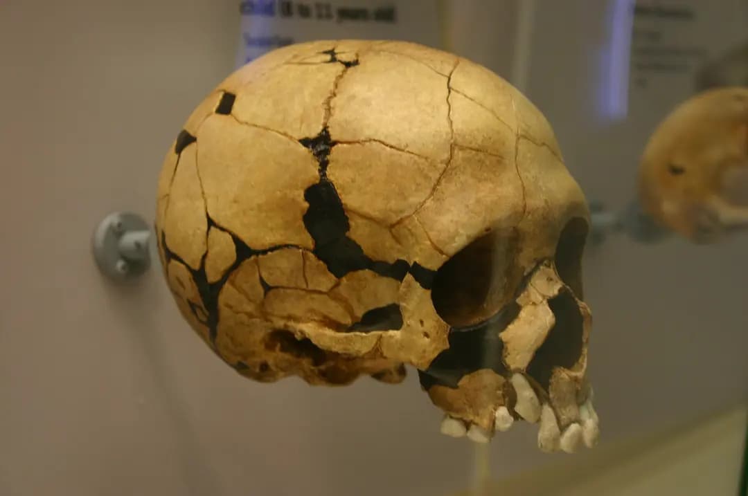 Teshik-Tash Cave: A Neanderthal Site in the Boysun Mountains
