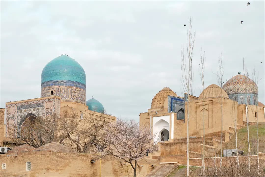 Kazy and Khasip: The Sausages of Uzbek Cuisine
