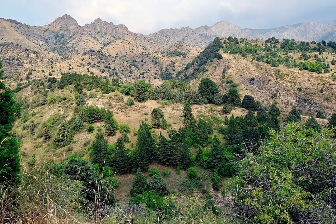 Chatkal Nature Reserve: wild mountains next door to Tashkent