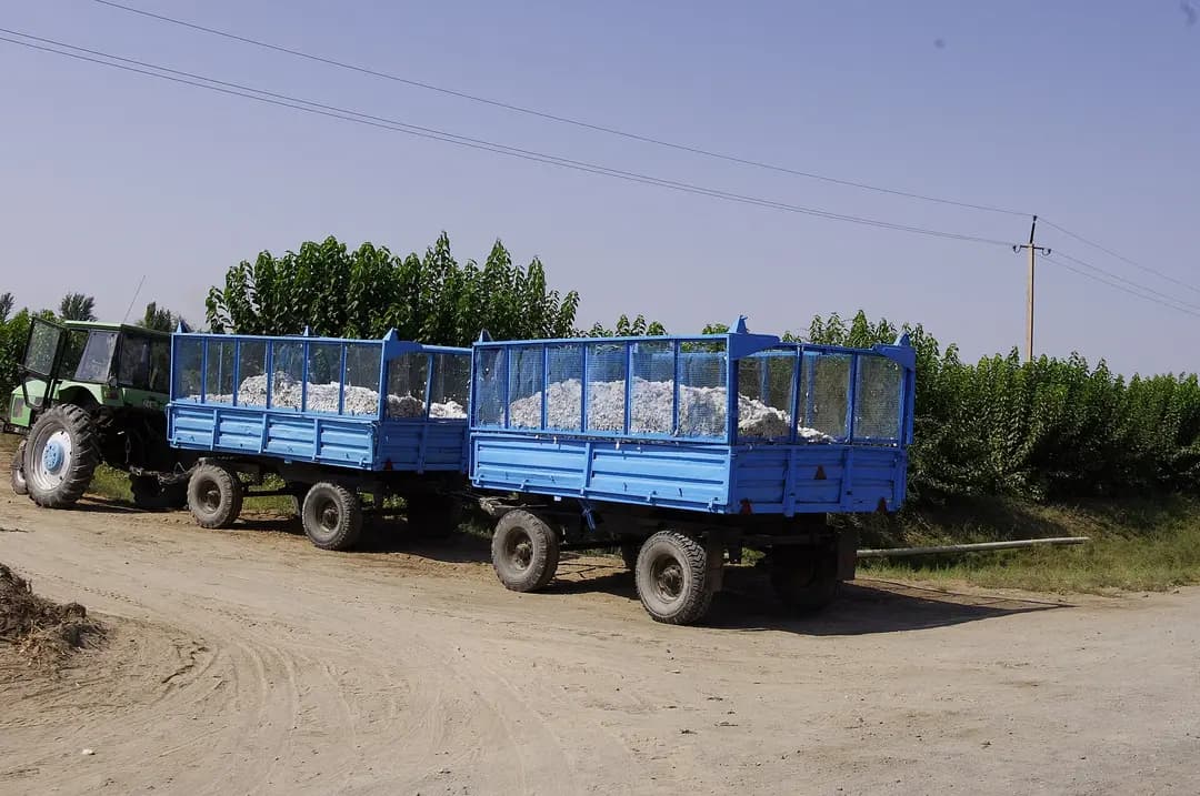 Узбекистан осенью: урожай, свадьбы и бархатный сезон