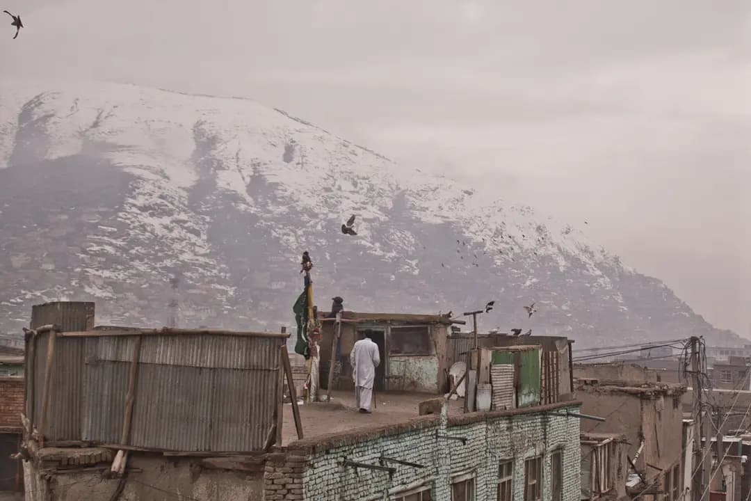 O'zbekistonda ichki aviareyslar: qachon uchish mantiqli
