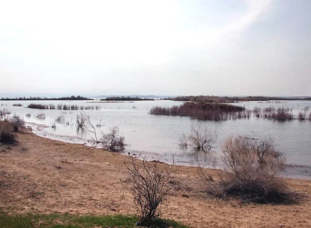 How to get to Lake Aydarkul: two roads to a desert sea